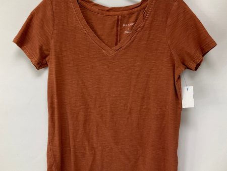 Top Short Sleeve Basic By Pilcro In Brown, Size: S Cheap