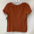 Top Short Sleeve Basic By Pilcro In Brown, Size: S Cheap