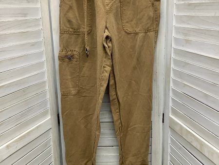 Pants Cargo & Utility By Nicole Miller In Tan, Size: Xs Cheap