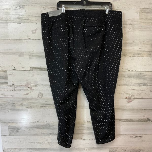 Pants Other By Talbots In Black & White, Size: 22 Online Hot Sale